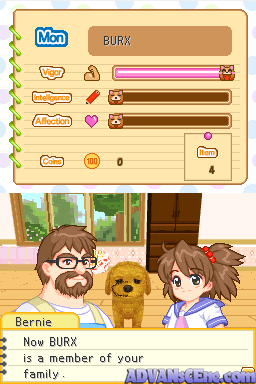 Dogz Fashion screenshot 3 for Nintendo DS